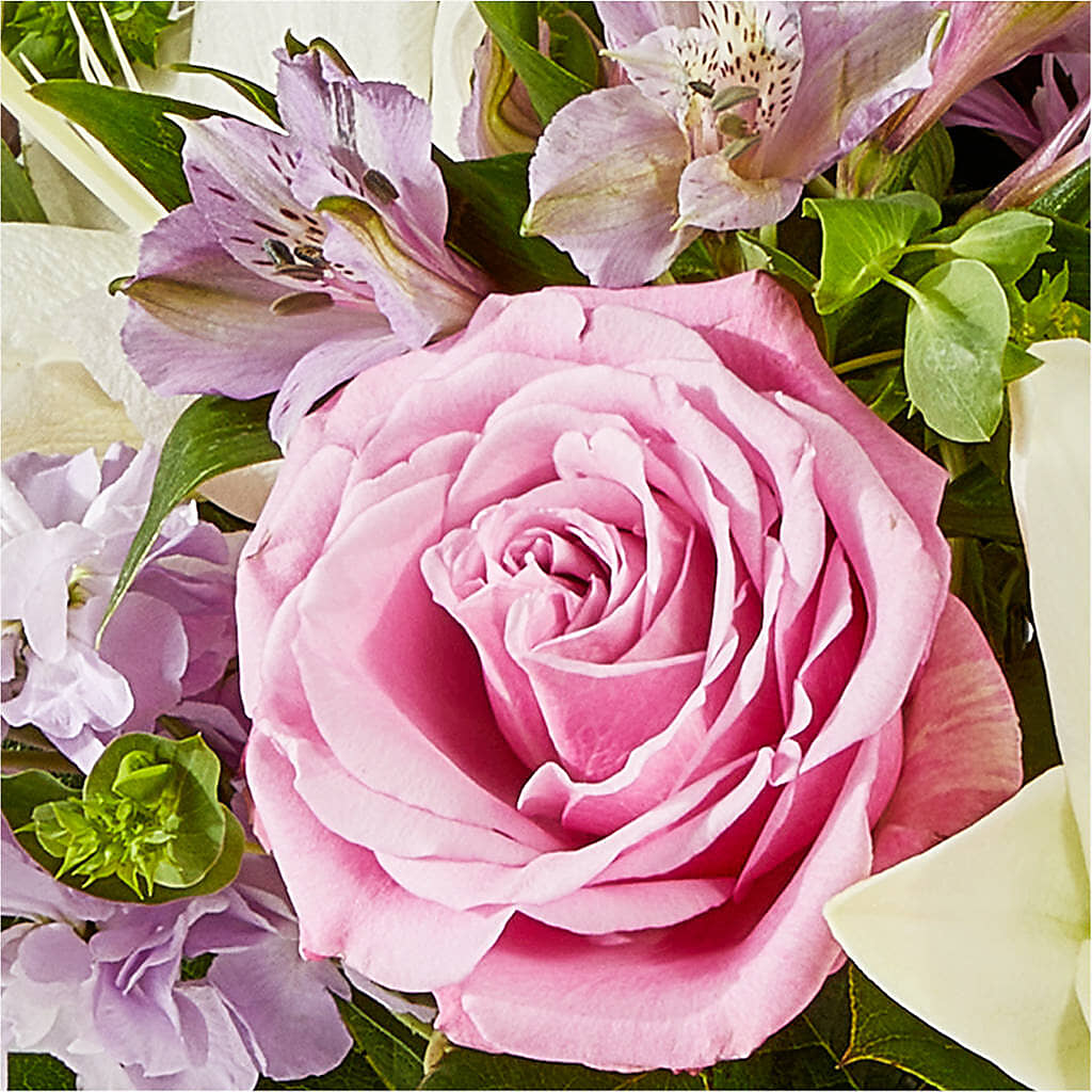 Daydreamer Bouquet –  The Gift Garden, Macon GA