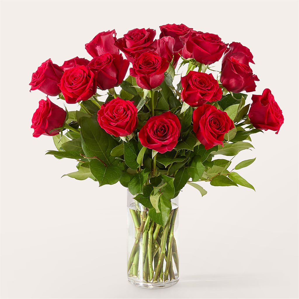 The One Red Rose Bouquet –  The Gift Garden, Macon GA