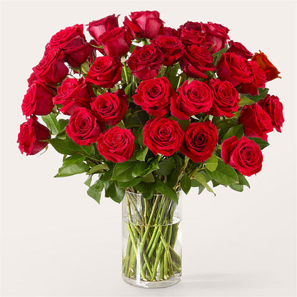 The One Red Rose Bouquet –  The Gift Garden, Macon GA