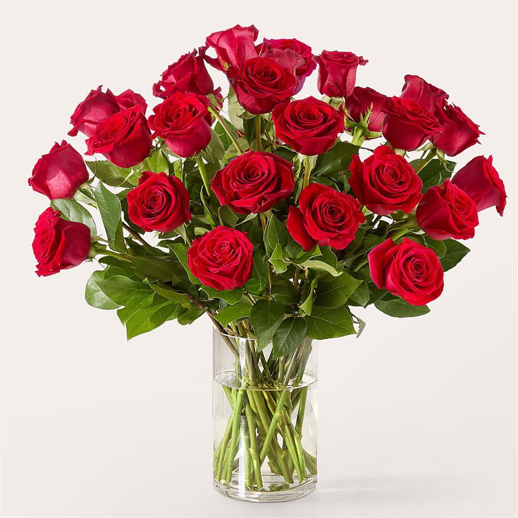 The One Red Rose Bouquet –  The Gift Garden, Macon GA