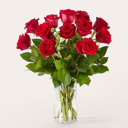 The One Red Rose Bouquet –  The Gift Garden, Macon GA