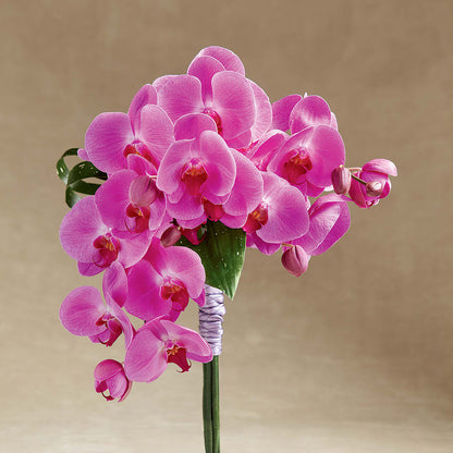 Glorious Bouquet –  The Gift Garden, Macon GA