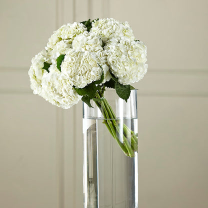 White Hydrangea Hand-Tied Bouquet –  The Gift Garden, Macon GA