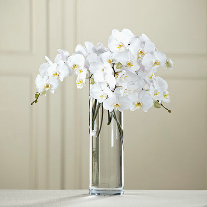 White Phalaenopsis Bouquet –  The Gift Garden, Macon GA